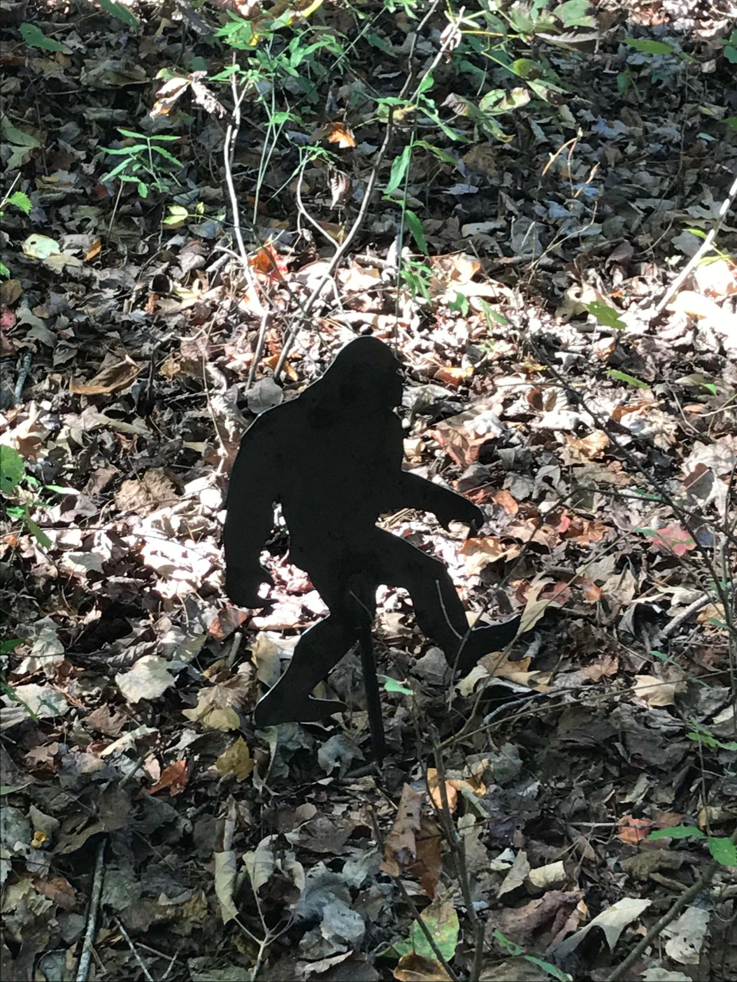 Hunt For Bigfoot GPS Hunt Game Image 1 a person sitting on a rock